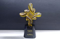 施耐德-2011渠道會議會杯